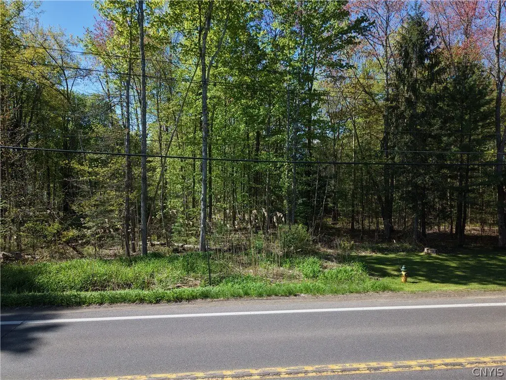 Picture 16