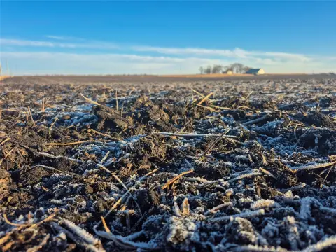Iowa Farmland Auction - 300 Acres