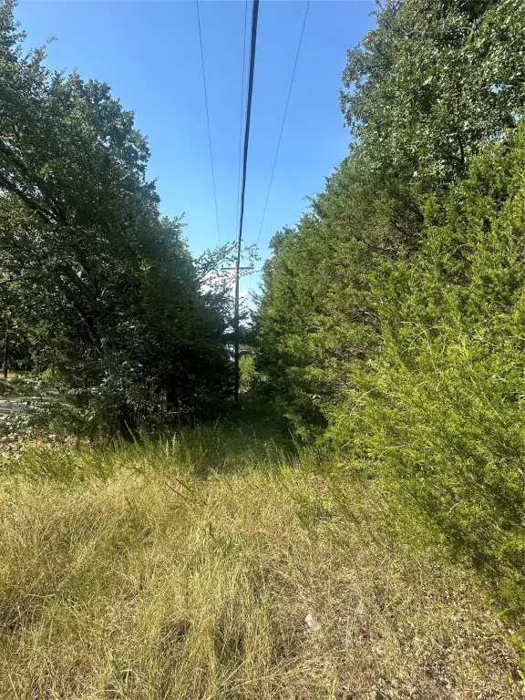 Picture 4