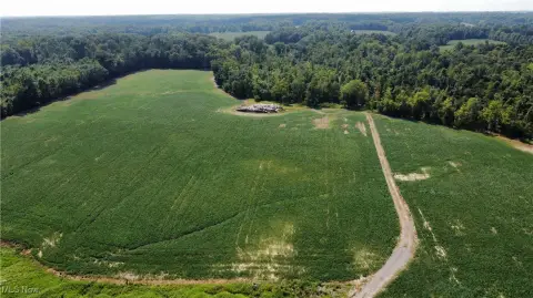 80+ Acres Open & Wooded Land