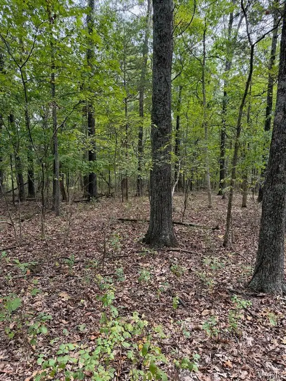 Picture 11