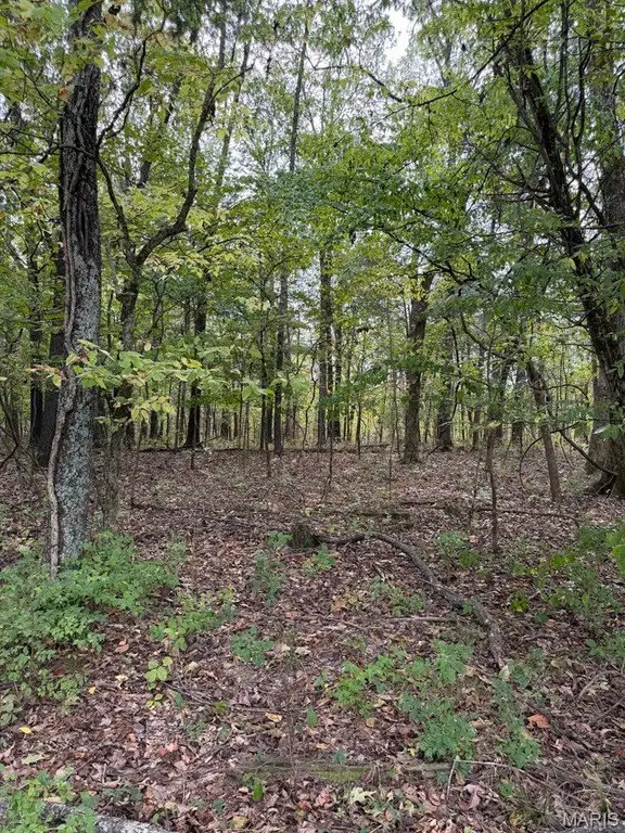 Picture 10