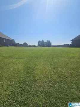 Residential Lot in Odenville