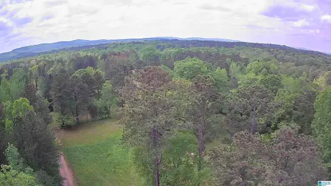 4.92 Acres in Chelsea, AL