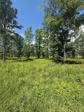 6.11-Acre Lot in Harlem, GA