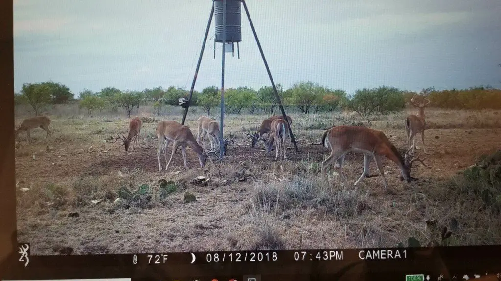 Picture 23