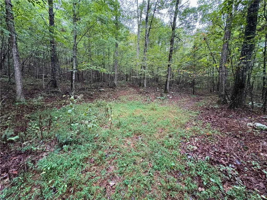 Picture 30