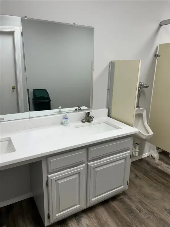 Picture 5