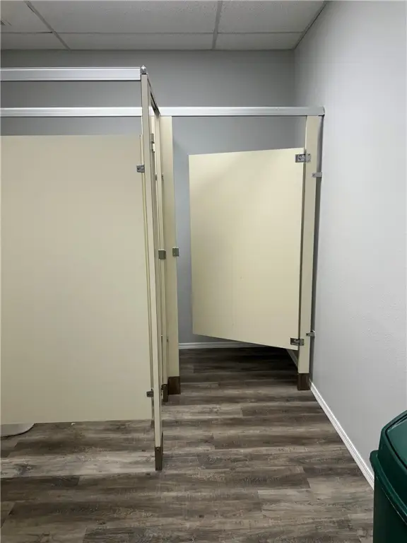 Picture 6