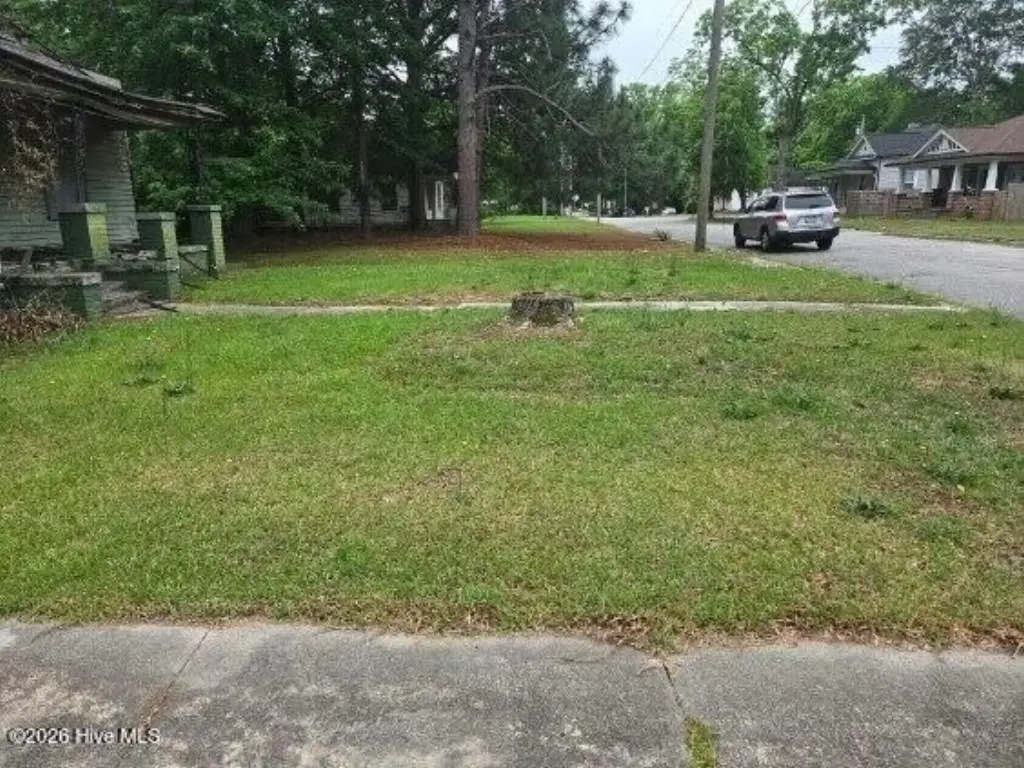 Picture 3