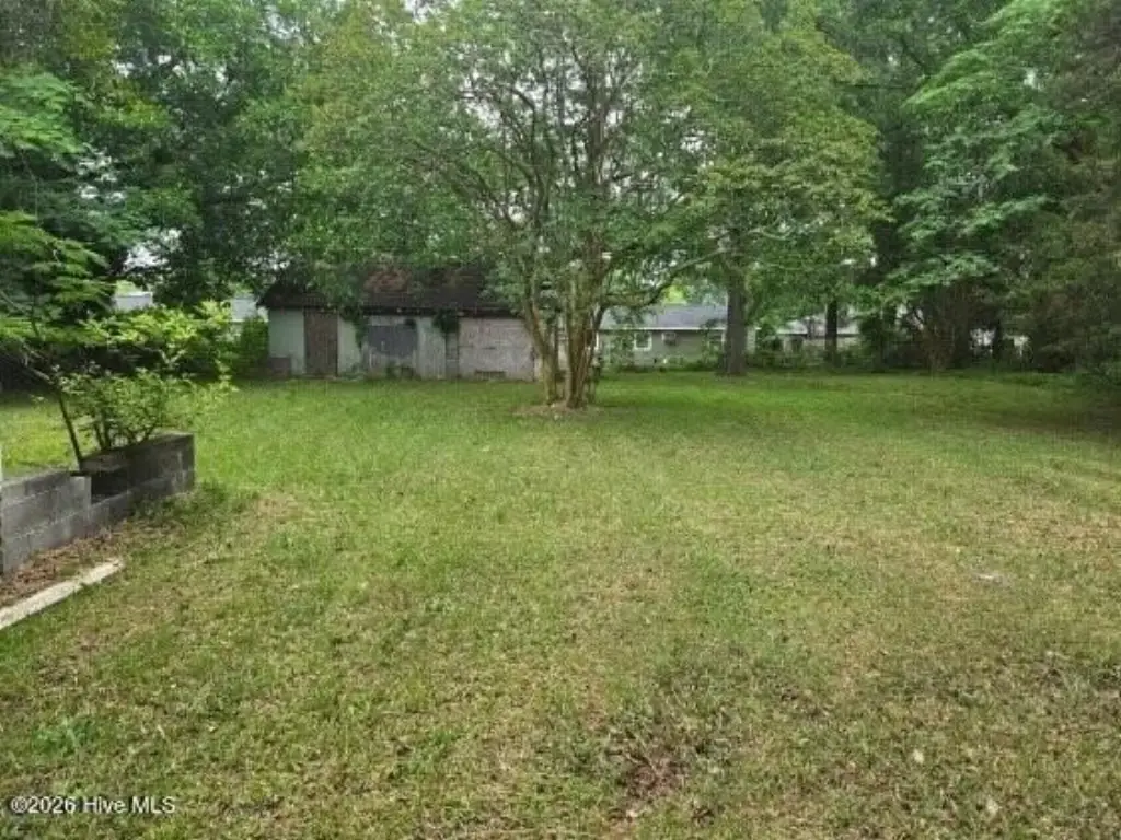 Picture 6