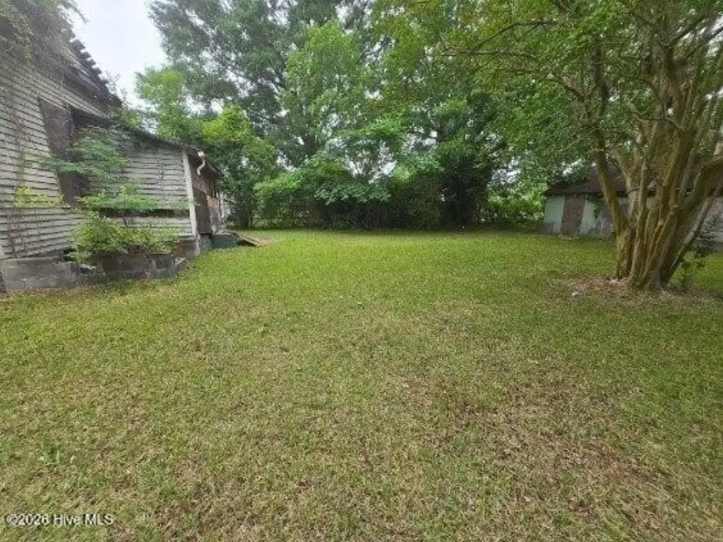 Picture 5