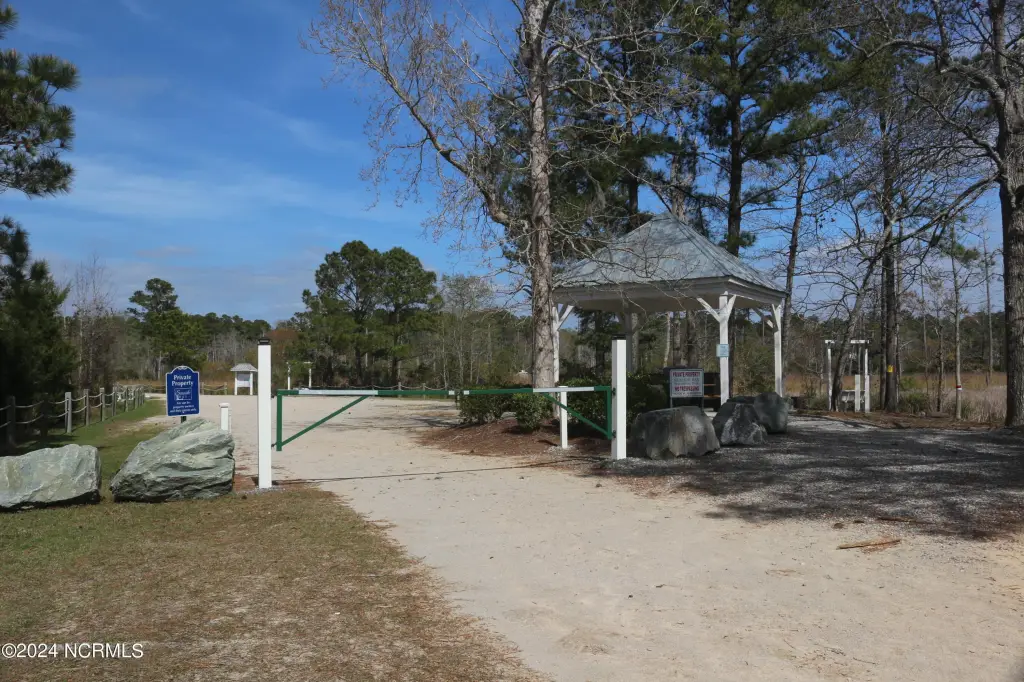 Picture 12
