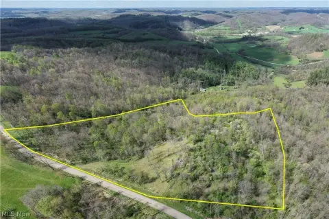 Wooded Hunting and Recreational Land