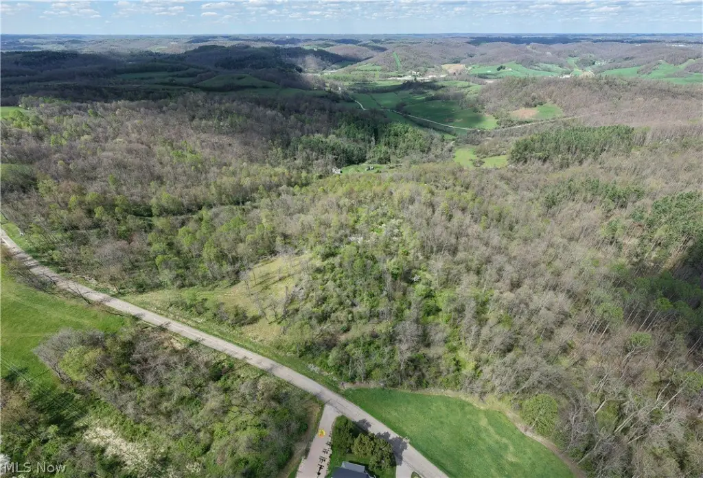Picture 19