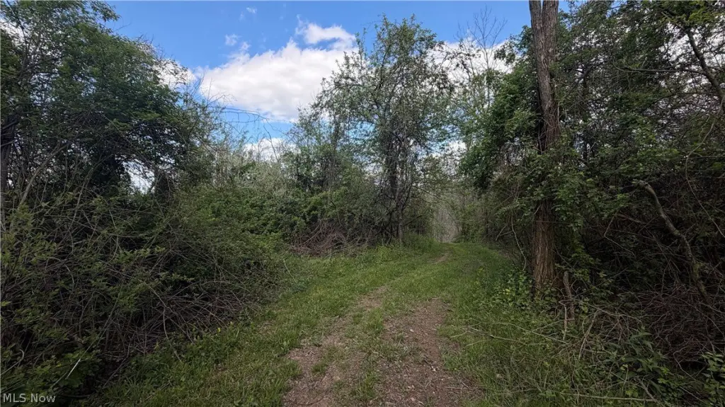 Picture 38