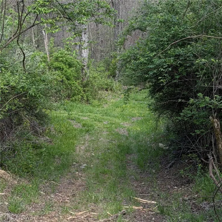 Picture 41