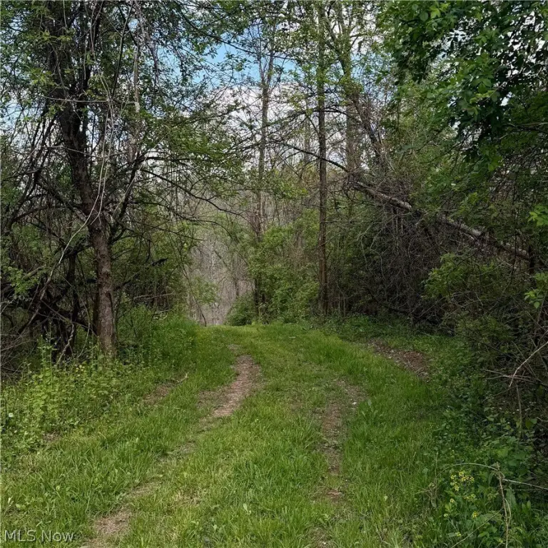 Picture 39