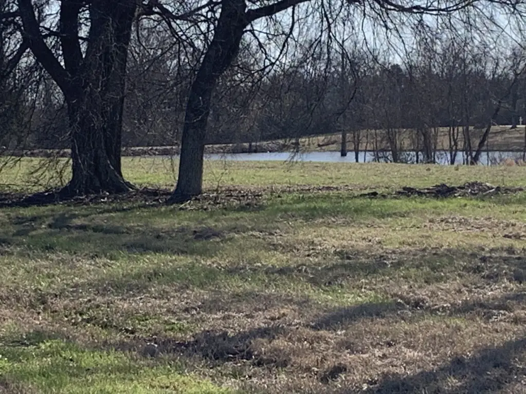 Picture 25