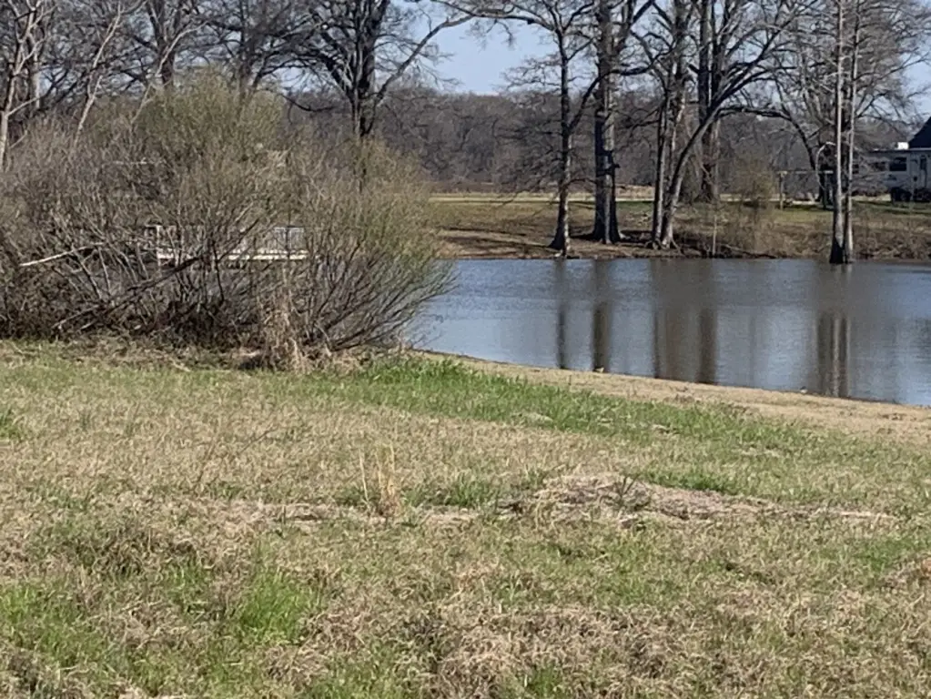 Picture 19