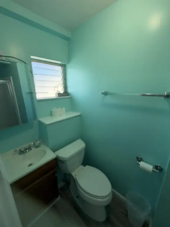 Picture 24