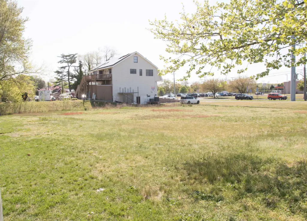 Picture 5