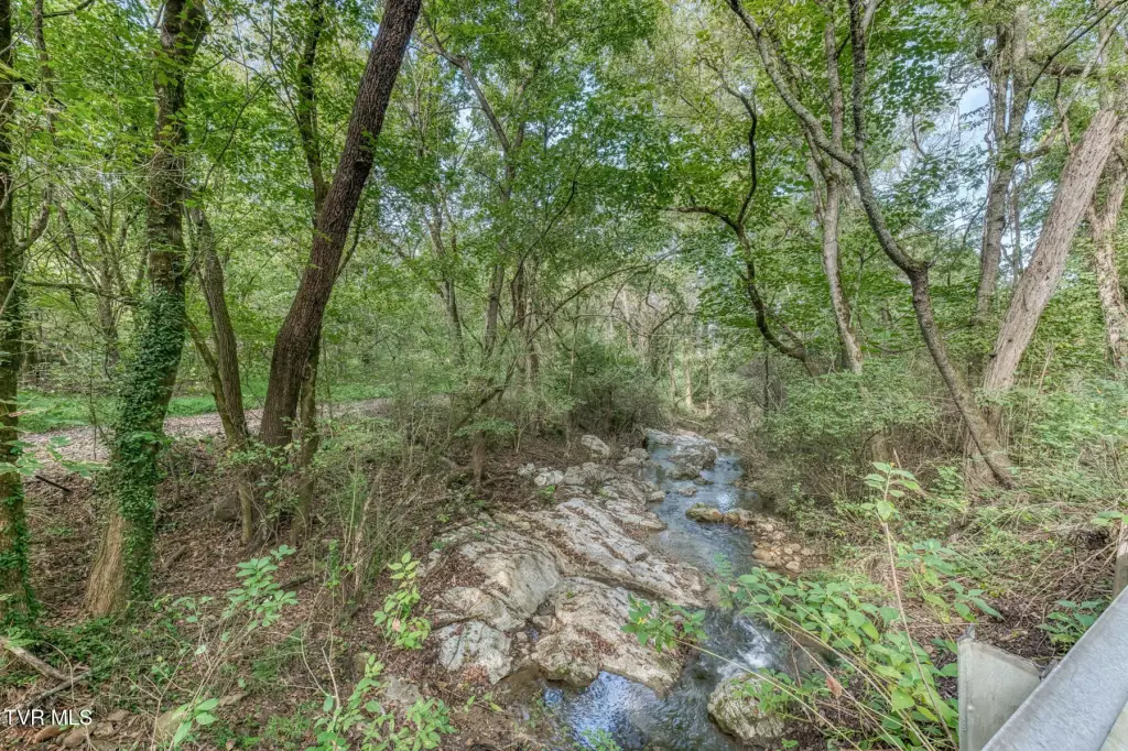 Picture 39