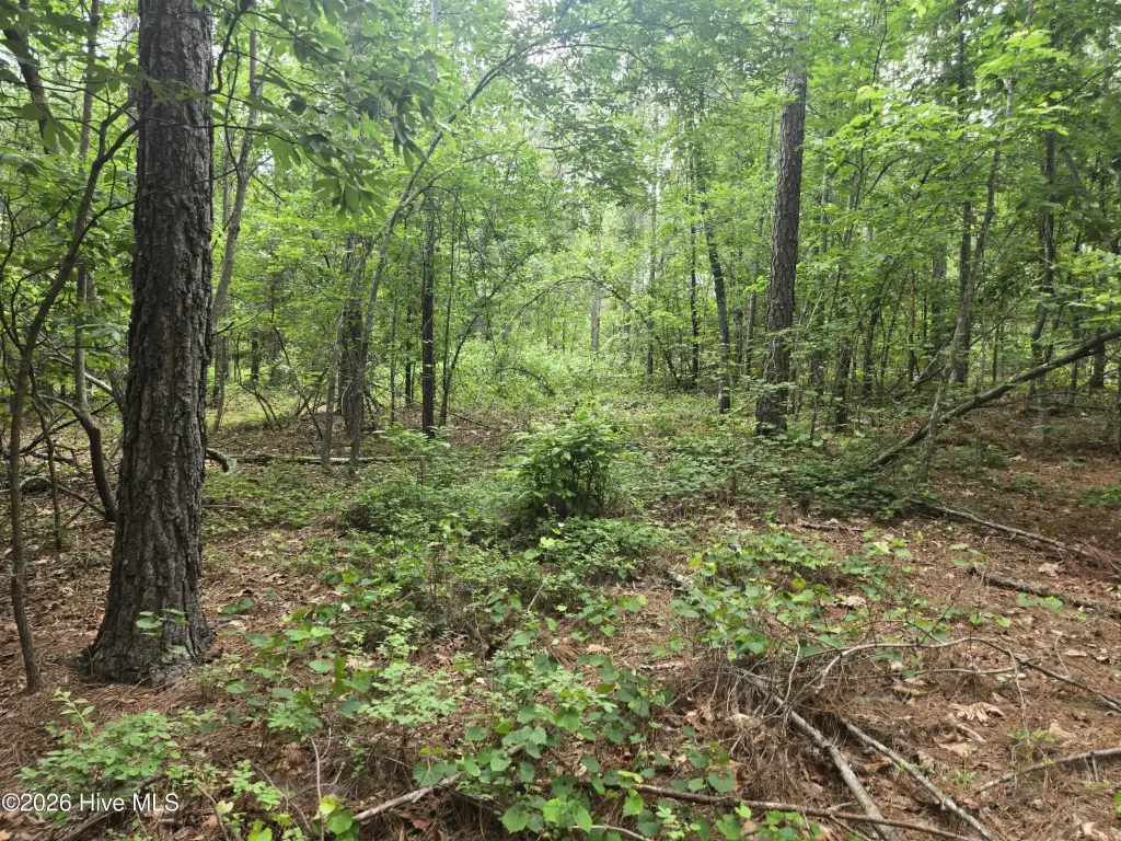 Picture 25
