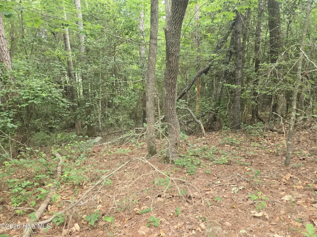 Picture 24