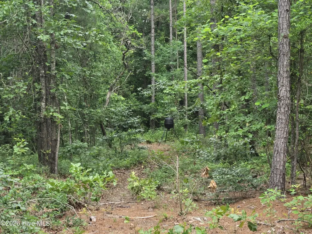 Picture 23