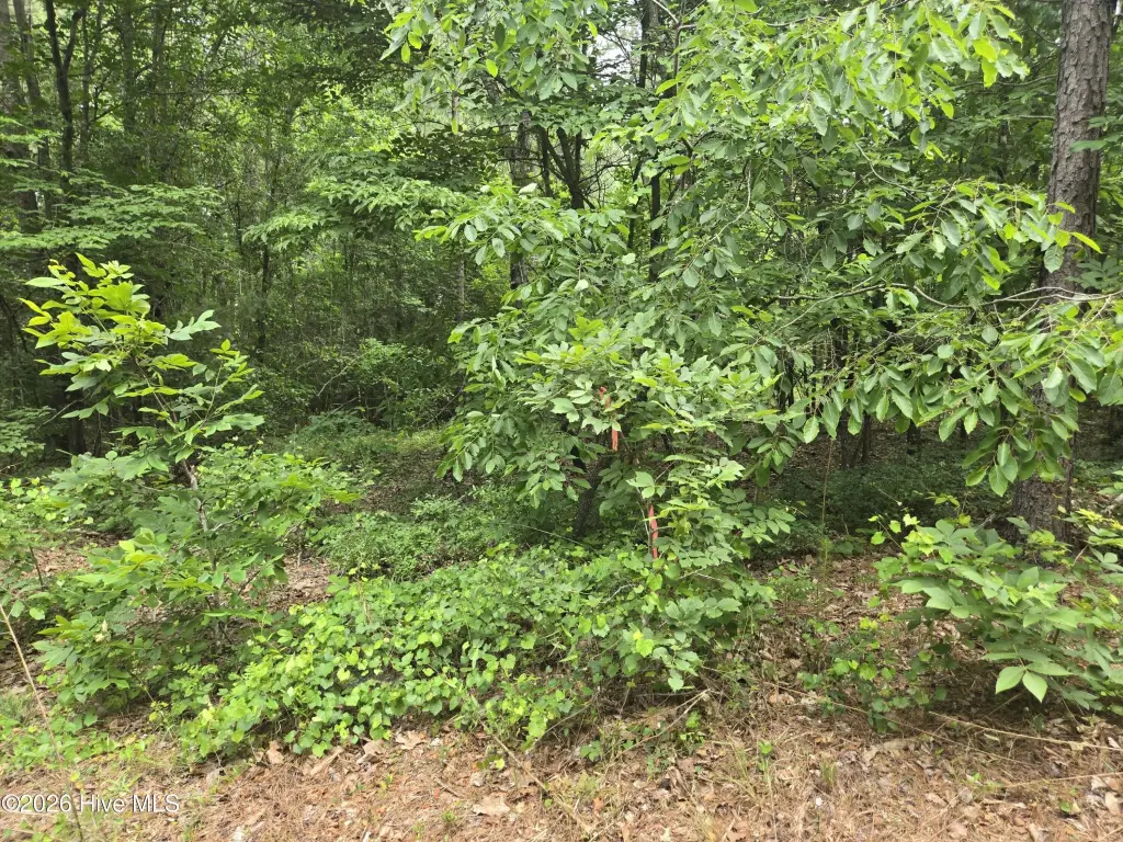 Picture 15