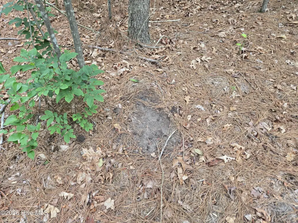 Picture 14