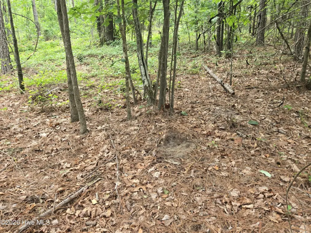 Picture 11