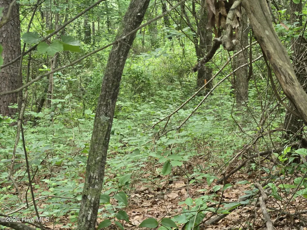 Picture 29
