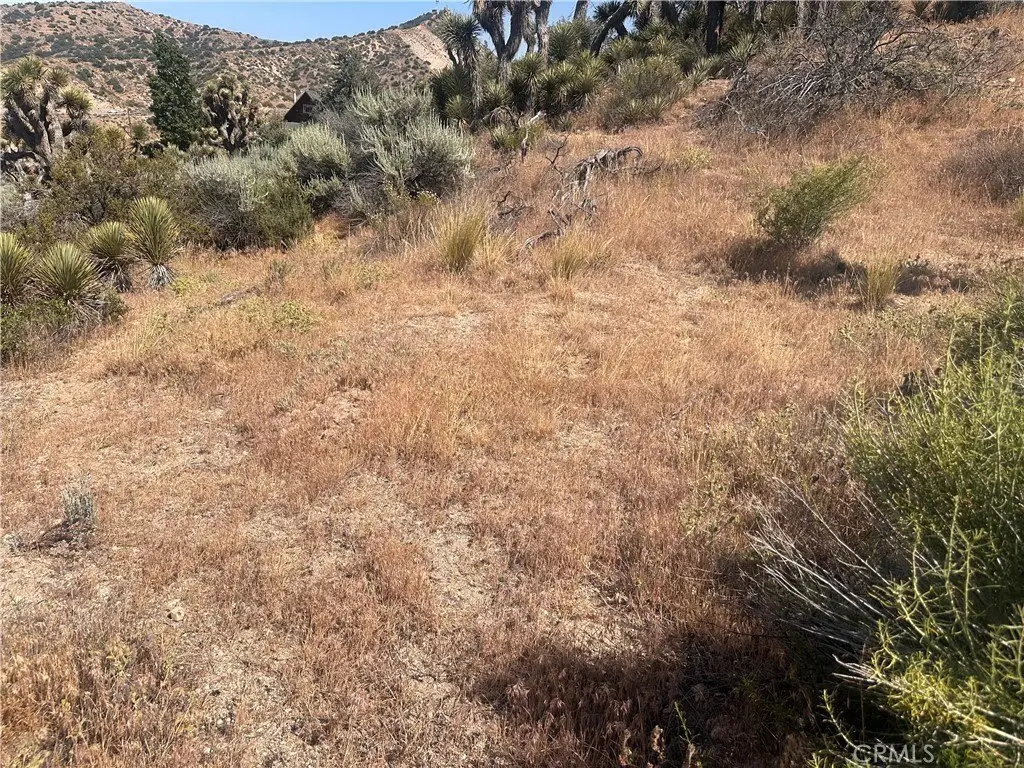 Picture 16