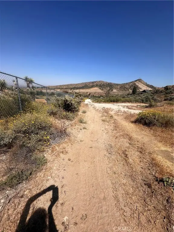 Picture 14