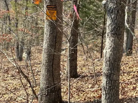 20 Acres Vacant Land