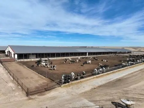 Livestock Facility Near Beaver City
