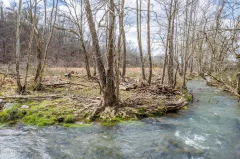 Sevierville Land with Creek Frontage