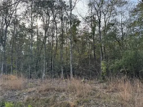 Residential Lot Near Pearl River