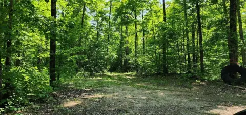 Hunting Land with Hardwood Forest