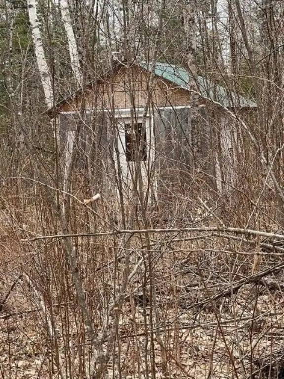 Picture 17