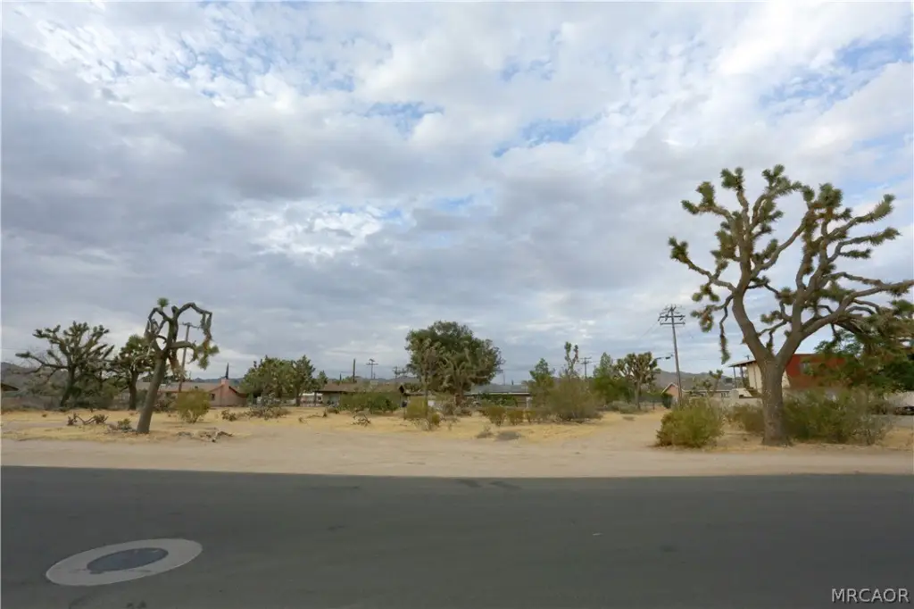 Picture 7