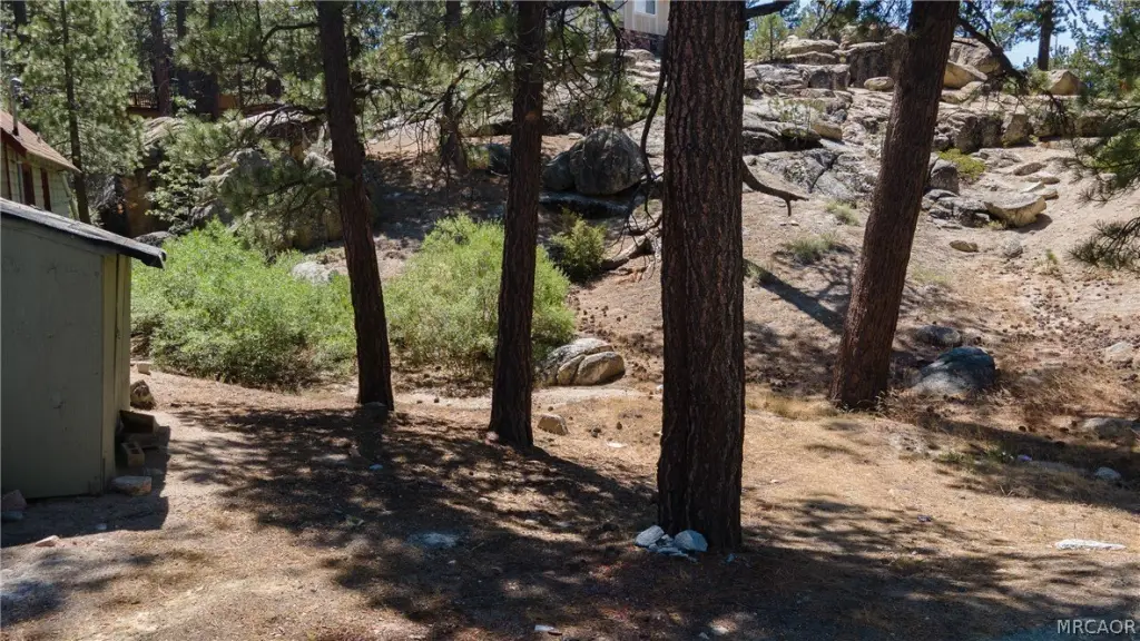 Picture 4