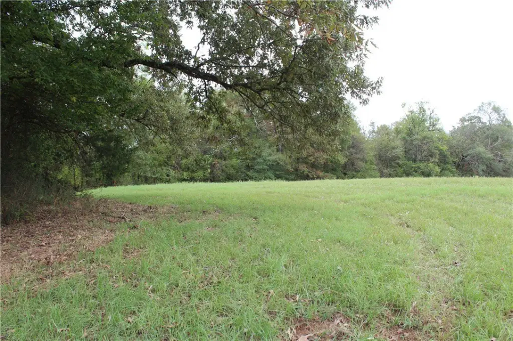 Picture 45
