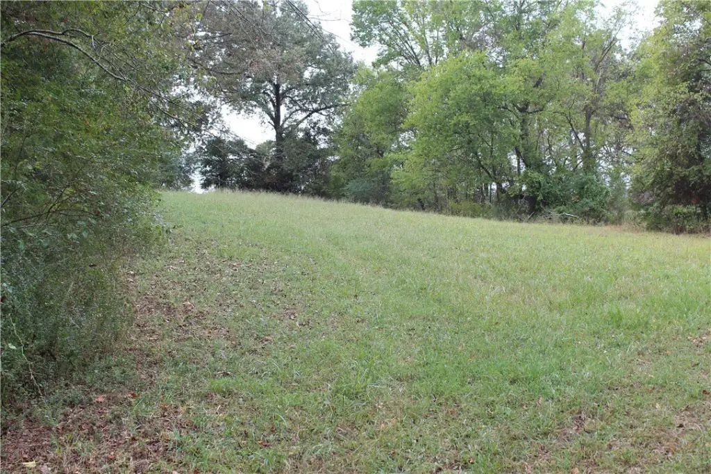 Picture 37