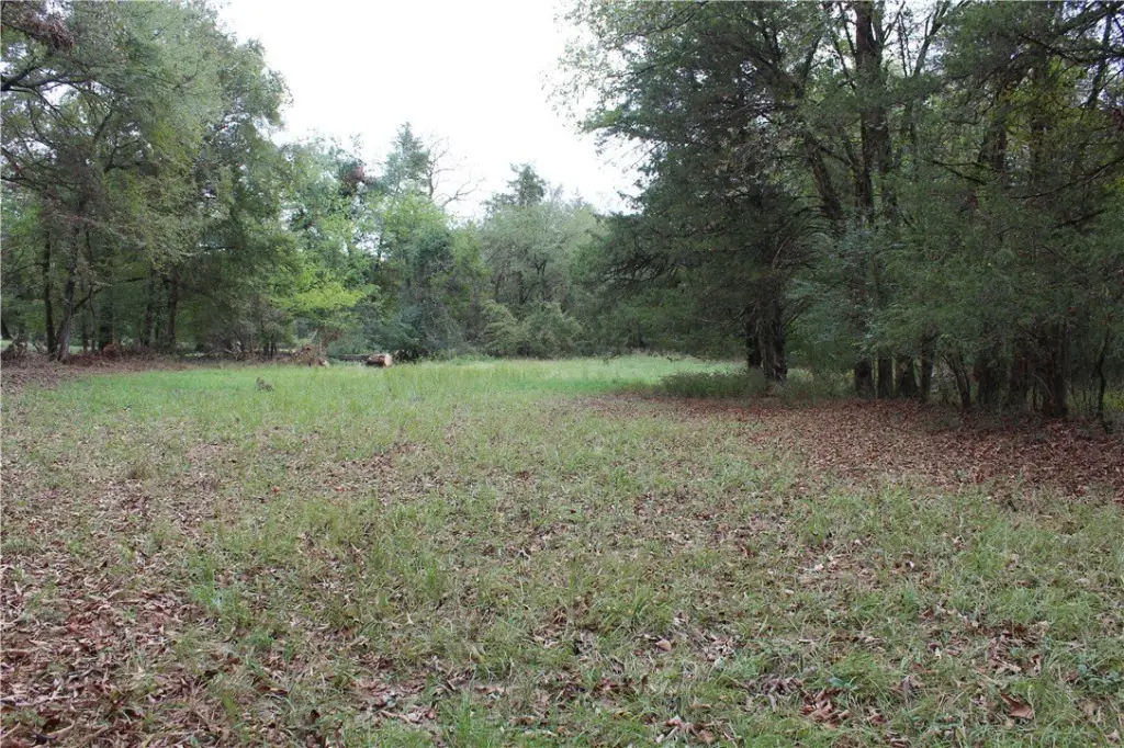 Picture 23