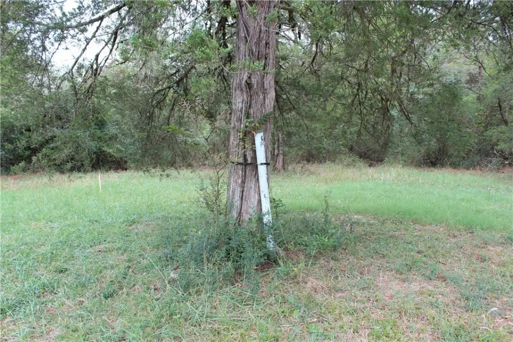 Picture 29