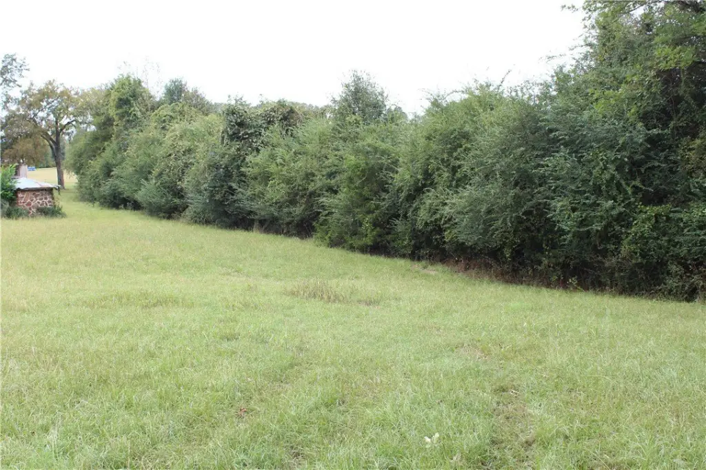 Picture 42