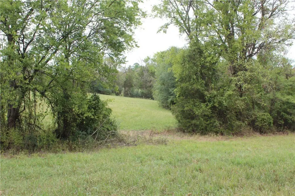 Picture 40
